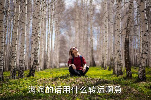 惠惠海淘用的什么轉(zhuǎn)運(yùn)，海淘的話用什么轉(zhuǎn)運(yùn)啊急