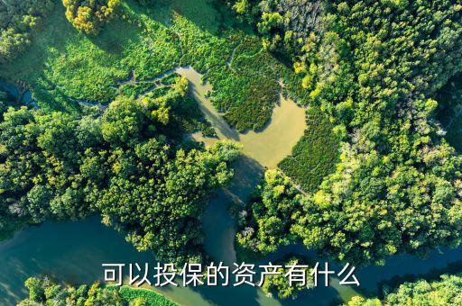 華宏科技購(gòu)買(mǎi)什么資產(chǎn)，可以投保的資產(chǎn)有什么