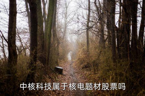 中核科技是什么板塊，中核科技屬于核電題材股票嗎