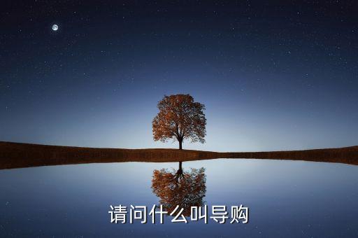電商導(dǎo)購(gòu)是什么，什么是導(dǎo)購(gòu)