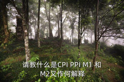 m2指數(shù)是什么，請(qǐng)教什么是CPI PPI M1 和 M2又作何解釋