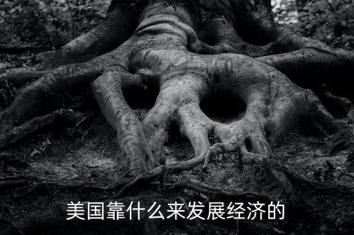 美國經(jīng)濟(jì)靠什么，美國靠什么來發(fā)展經(jīng)濟(jì)的