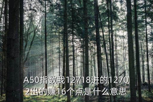 a50指數(shù)1510是什么，A50指數(shù)我12718進(jìn)的12702出的賺16個(gè)點(diǎn)是什么意思