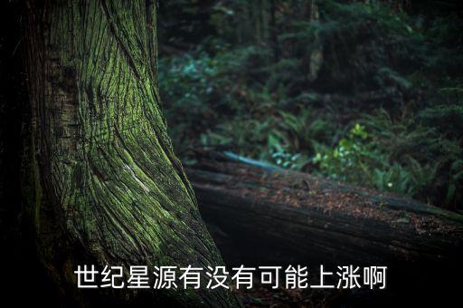 世紀(jì)星源股為什么不會(huì)漲，世紀(jì)星源有沒有可能上漲啊