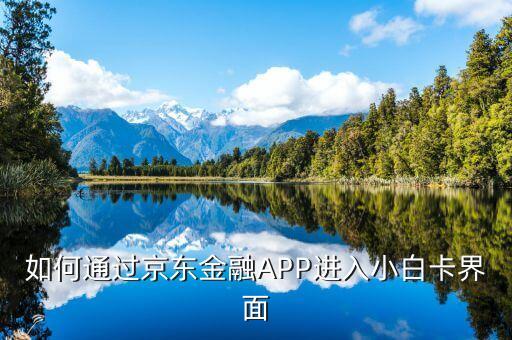 登陸京東金融后進入什么頁面，京東金融app借錢界面在哪里啊