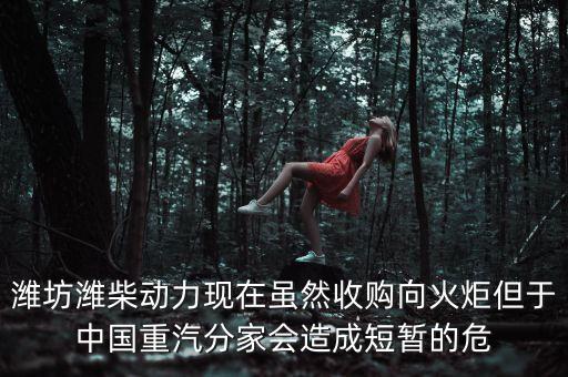 重汽為什么沒有濰柴了，中國重汽還有濰柴發(fā)動(dòng)機(jī)嗎