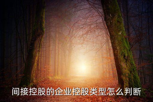 間接持股是什么意思，間接是什么意思