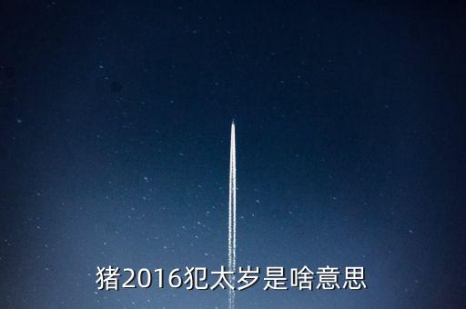 2016年犯什么星辰表，1974年的人在2016年犯太陽星嗎
