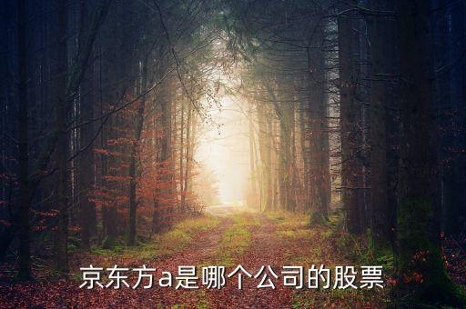 京東方a是什么企業(yè)，京東方A董事長是誰是什么企業(yè)
