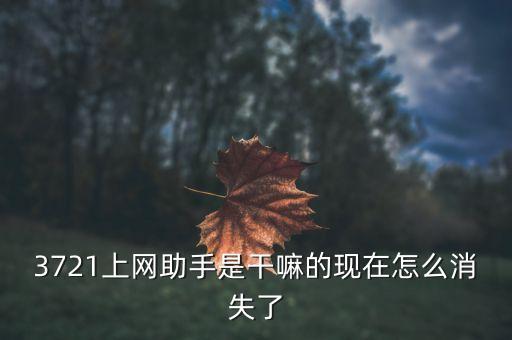 3721上網助手是干嘛的現在怎么消失了
