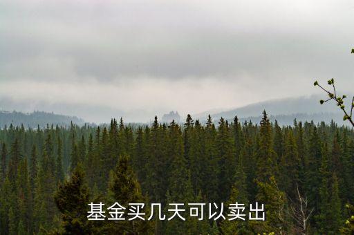 基金什么時(shí)候可以賣出，基金買進(jìn)后多久可以賣出