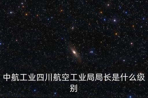 中航王斌什么級別，中航工業(yè)陜飛集團(tuán)董事長是什么行政級別