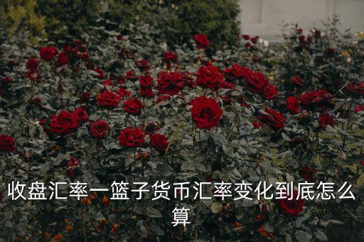 cfets貨幣籃子是什么，CF中籃子和UT代表什么