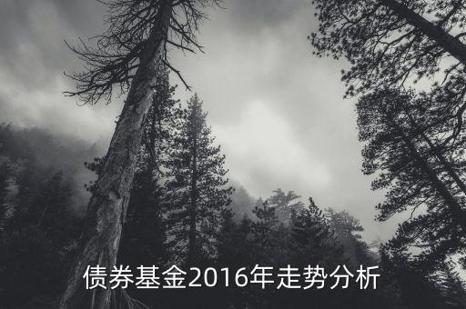 2016年的債券的投資的方向是什么，債券基金2016年走勢分析