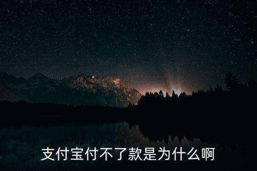 手機(jī)支付寶為什么不能付款，支付寶付不了款是為什么啊