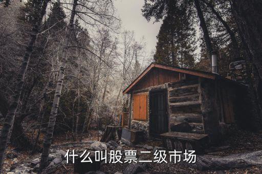 在二級(jí)市場(chǎng)買的股票有什么，二級(jí)市場(chǎng)上交易的股票