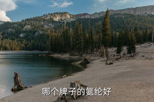氨綸什么牌子好，哪個牌子的氨綸絲好啊