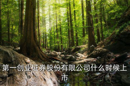002797什么時(shí)候上市，511股市早聞