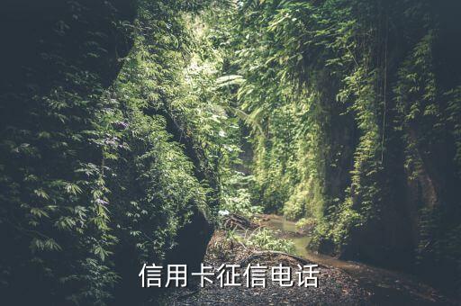 申請(qǐng)信用卡征信會(huì)用什么電話打，辦信用卡征信上是一年前的手機(jī)號(hào) 銀行會(huì)打征信上的手機(jī)號(hào)碼嗎