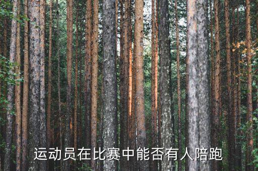 陪跑是什么，責(zé)罰是什么意思