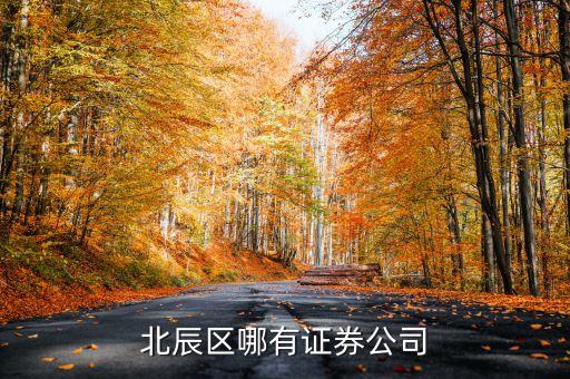 北辰區(qū)有什么證券工司，昆明北市區(qū)北辰小區(qū)或和諧世紀(jì)那邊有沒有證券交易所