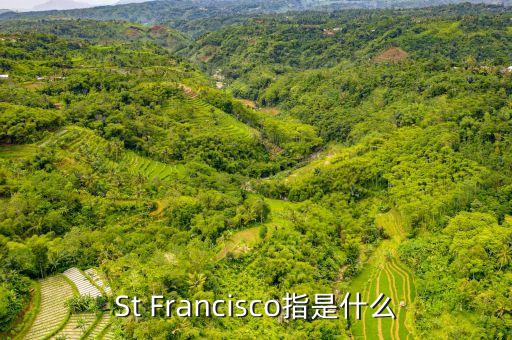 st戰(zhàn)略是什么，ST戰(zhàn)略是什么意思