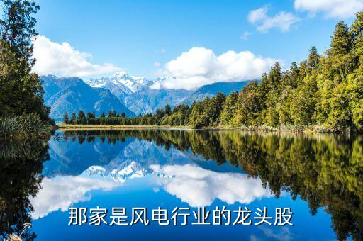 002531天順風(fēng)能是做什么的，哪位大師幫我分析下今天的002531天順風(fēng)能早盤漲停后不封打開(kāi)再尾
