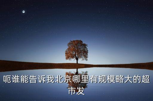 北京超市發(fā)有什么部門，呃誰能告訴我北京哪里有規(guī)模略大的超市發(fā)