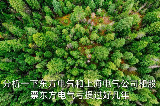 東方電氣為什么不漲，東方電氣這么好的公司為什么總是漲不上去漲不過(guò)別人呢