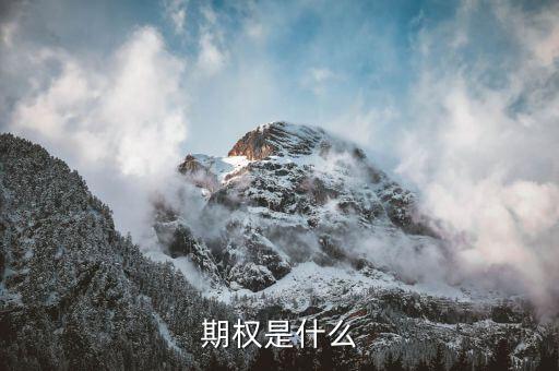 授予期權(quán)是什么意思，無(wú)償授予股票期權(quán)是什么意思