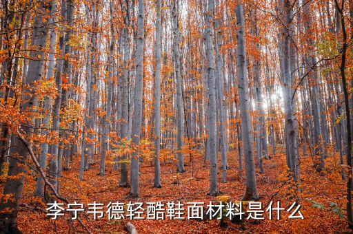 主角鋁材什么價(jià)格，沉默是金 議論文 求材料