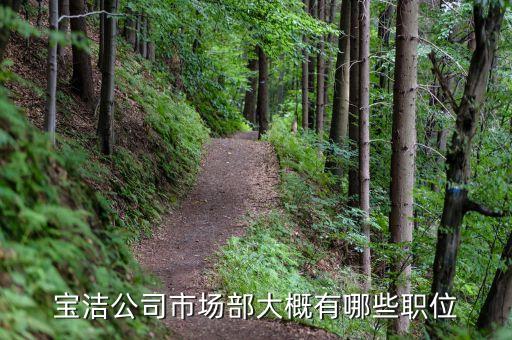 材料專業(yè)去寶潔一般是什么職位，我現(xiàn)在是大二 讀材料化學(xué)專業(yè) 兼行政管理的雙學(xué)位 想進(jìn) 寶潔公司 該做