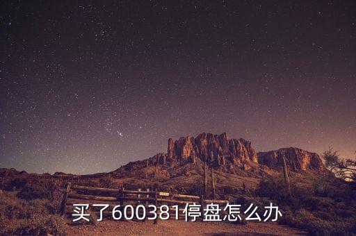 600381為什么被st，買了600381停盤怎么辦