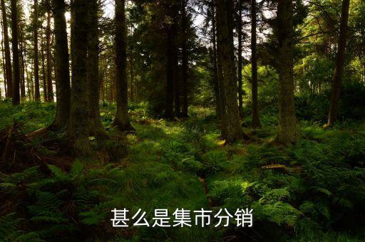集采分銷是什么，什么是集中分銷