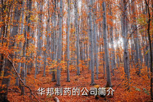 華邦制藥有什么產(chǎn)品，華邦制藥的企業(yè)理念
