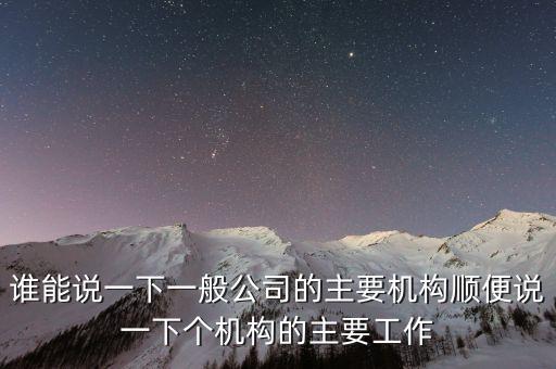 什么是非職工代表，請問我們公司之前是有兩名股東分別任命一人為總經(jīng)理執(zhí)行董事