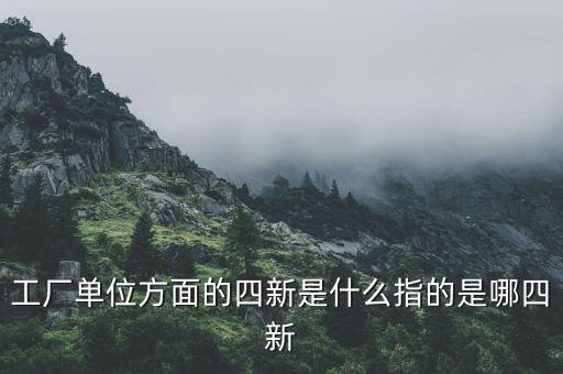 四新企業(yè)是什么，工廠單位方面的四新是什么指的是哪四新