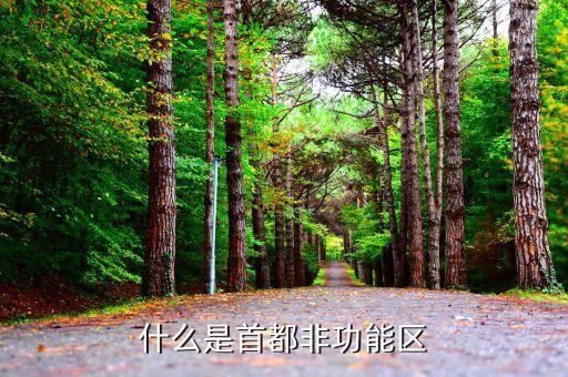 什么是非首都核心功能，什么是首都非功能區(qū)