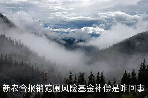 什么是政府風(fēng)險(xiǎn)補(bǔ)償基金，政府風(fēng)險(xiǎn)補(bǔ)償基金屬于哪個企業(yè)會計(jì)科目