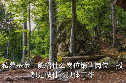 私募基金一般招什么崗位銷(xiāo)售崗位一般都是做什么具體工作
