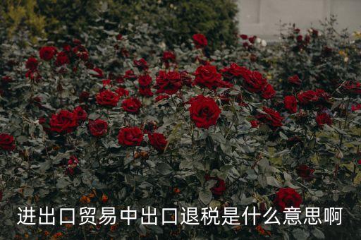 押匯退回什么意思，進(jìn)出口貿(mào)易中出口退稅是什么意思啊