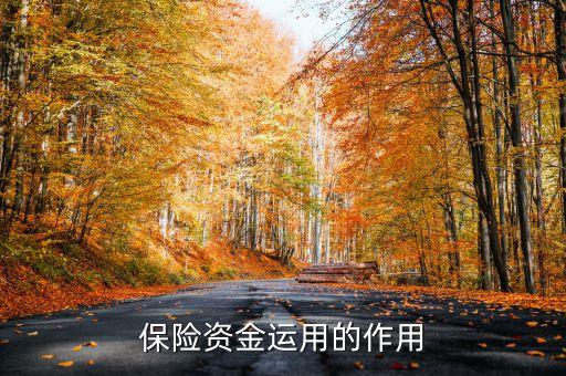 保險(xiǎn)資金運(yùn)用余額什么意思，保險(xiǎn)每年的資金運(yùn)用余額具體是什么