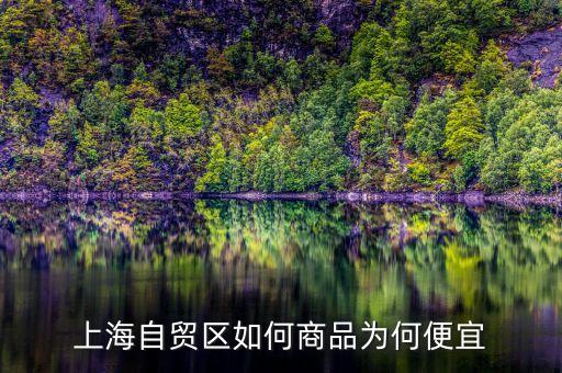 上海自貿(mào)區(qū)買什么便宜，上海購(gòu)物什么商品比較便宜