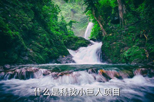 科技小巨人是什么，科技之星有哪些人