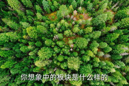 在你的想象中板塊是什么，在你的想象中板塊是什么答案別太長(zhǎng)