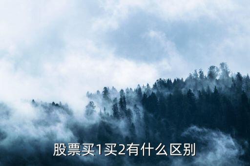 股票中買1買2什么意思，股票中的買一買二賣一賣二是什么意思