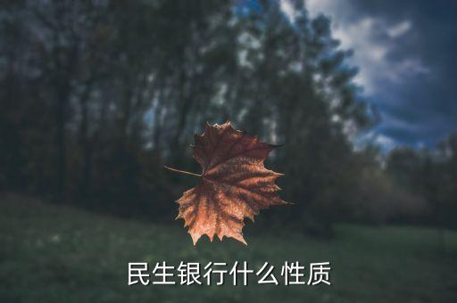 民生銀行是什么性質(zhì)，民生銀行屬于什么性質(zhì)