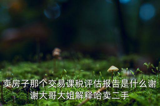 交易課稅是什么意思，名詞解釋證券交易稅