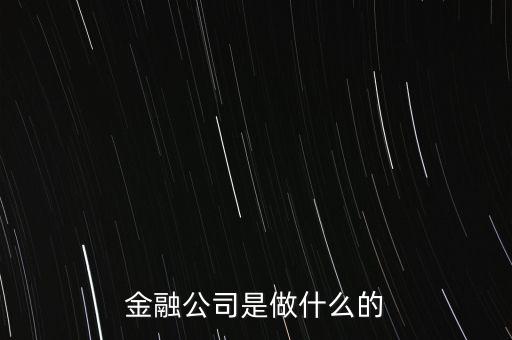 美國(guó)住宅金融公司是干什么的，房地美和房利美在美國(guó)算什么性質(zhì)的金融機(jī)構(gòu)