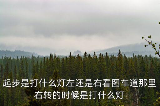 駕駛打右燈和左燈什么意思啊，起步是打什么燈左還是右看圖車道那里右轉(zhuǎn)的時(shí)候是打什么燈